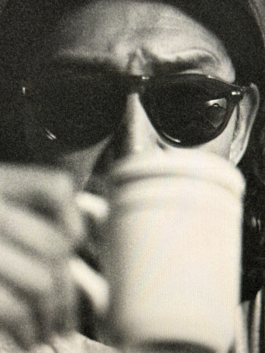 The Speedster Sunglasses